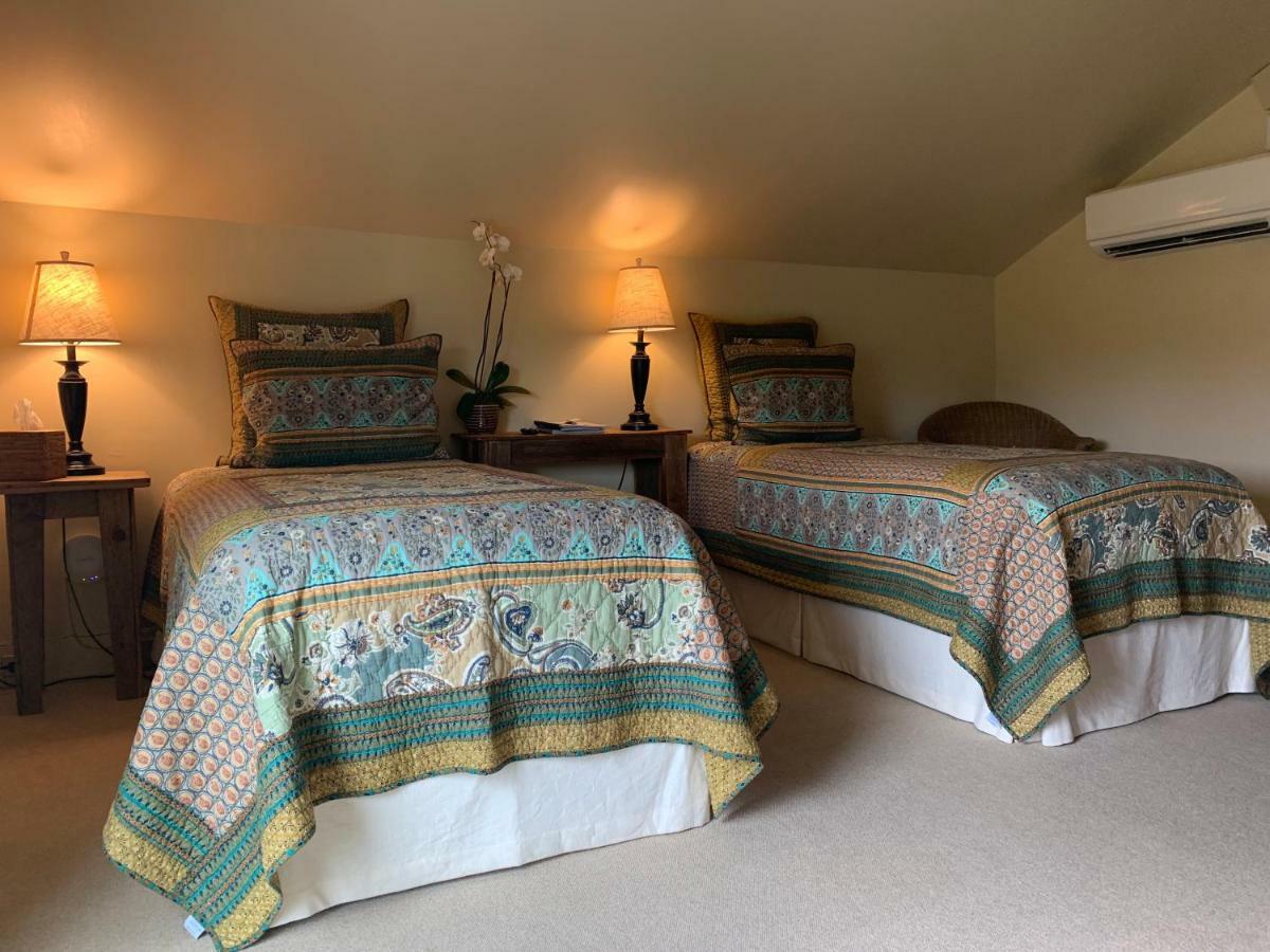 Terrell House Bed And Breakfast 新奥尔良 外观 照片